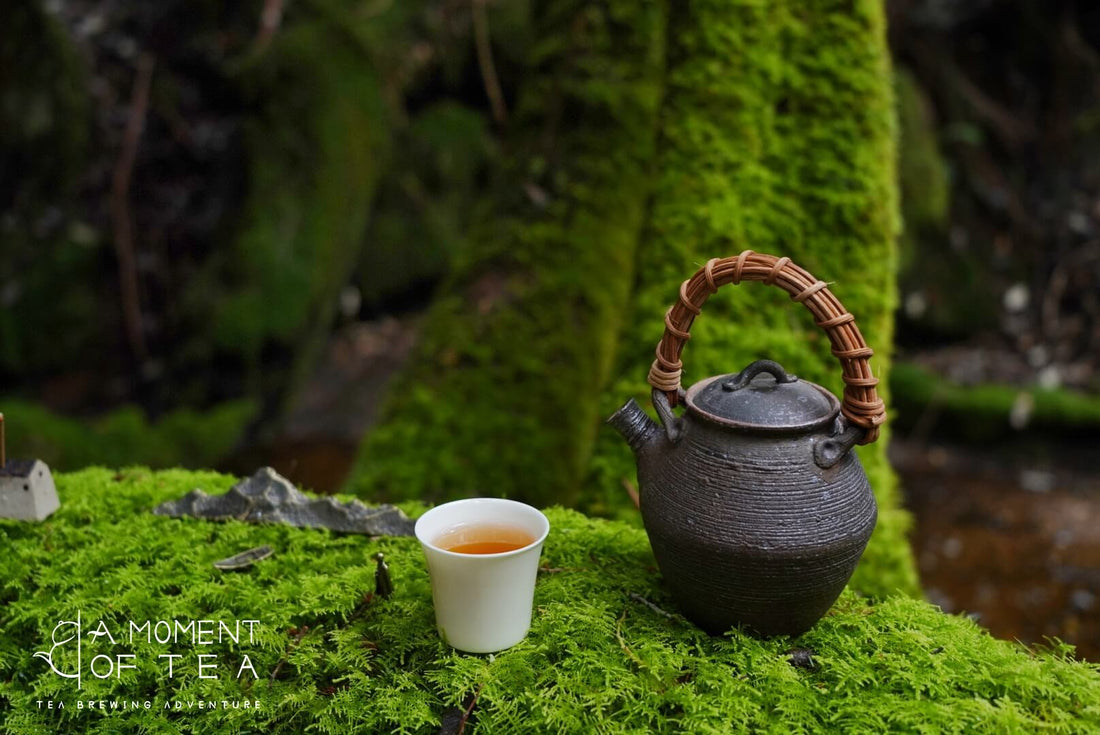 Experience Authentic Chinese Tea - A Journey of Mindfulness and Tradition
