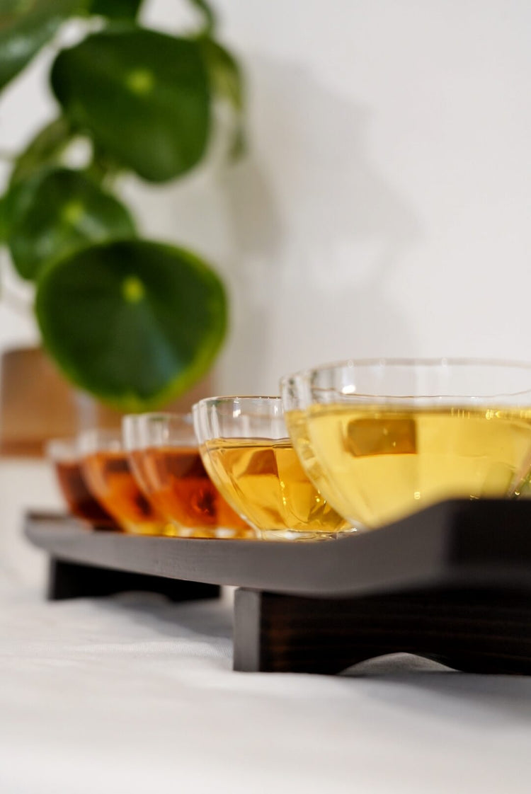 Pu Erh Tea Collection